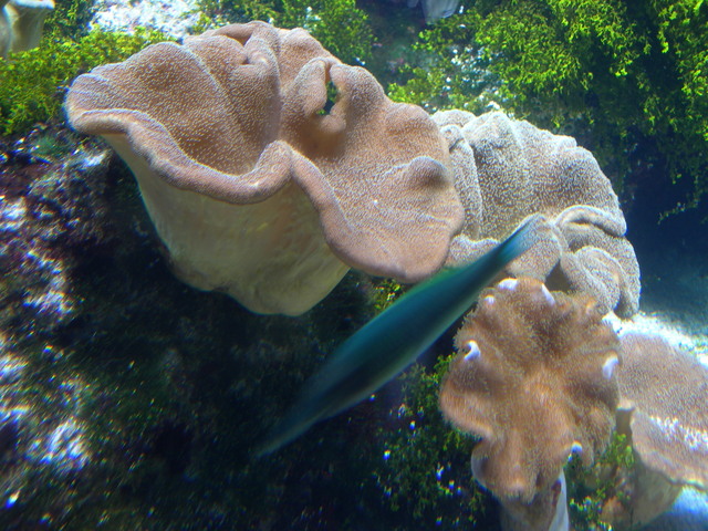 DSCN0830
