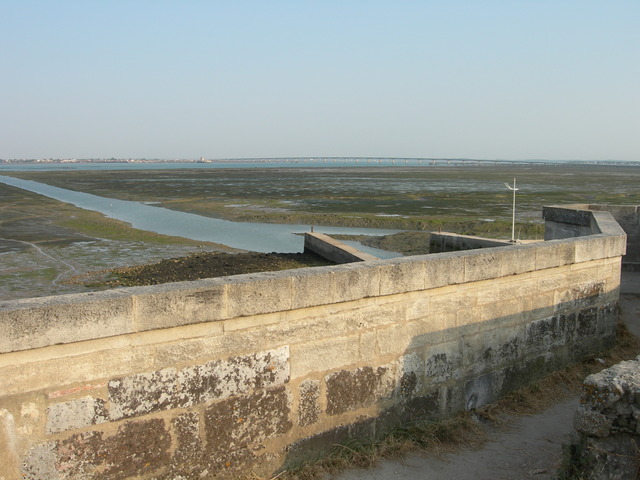 DSCN0849
