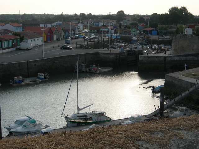 DSCN0851