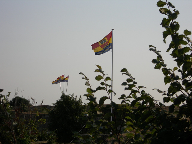 DSCN0861