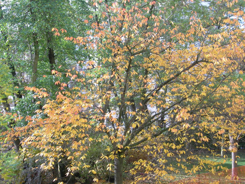 DSCN1514