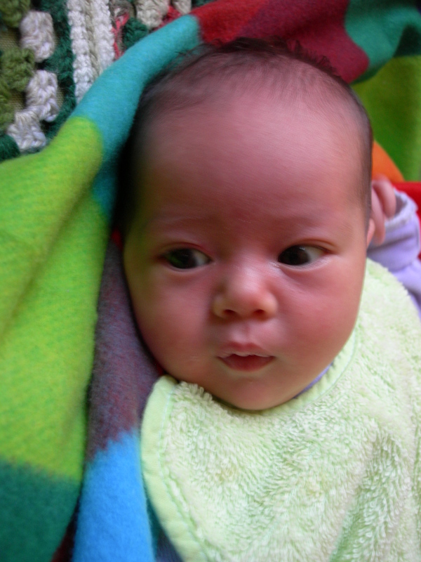 DSCN1568