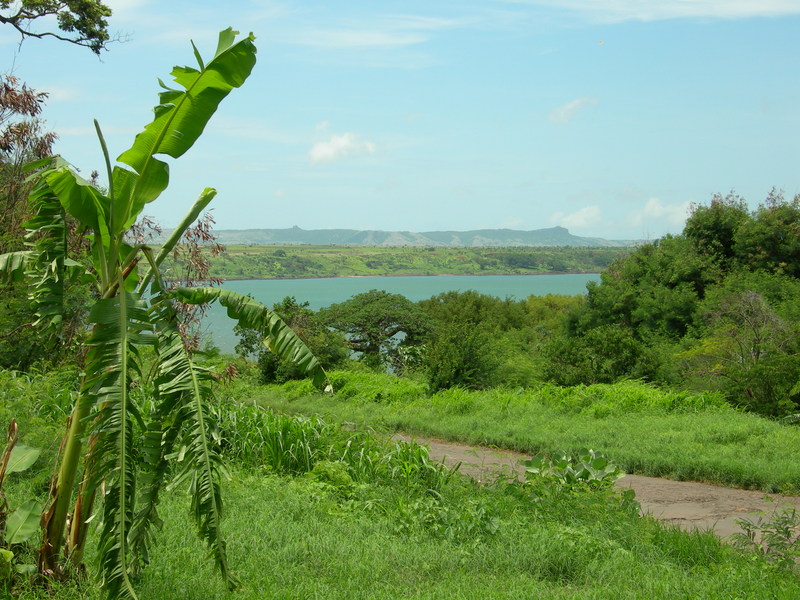 DSCN1875