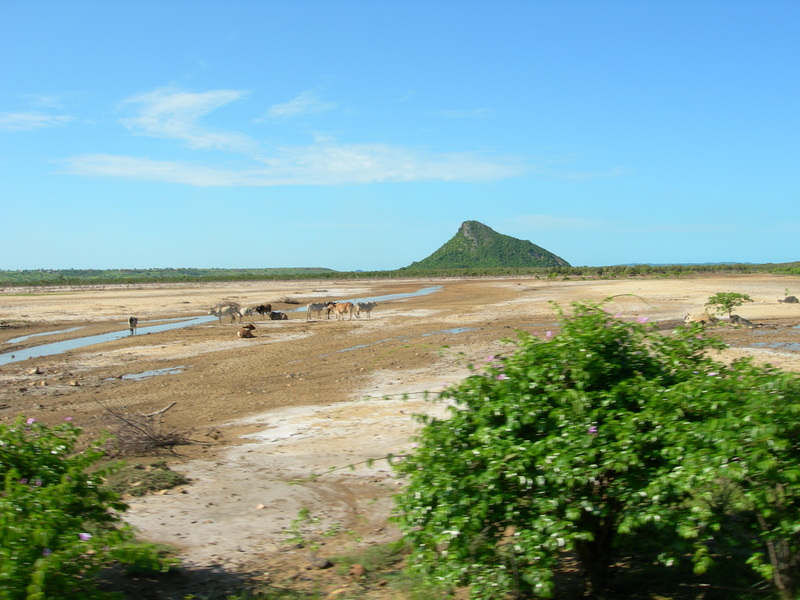 DSCN1908