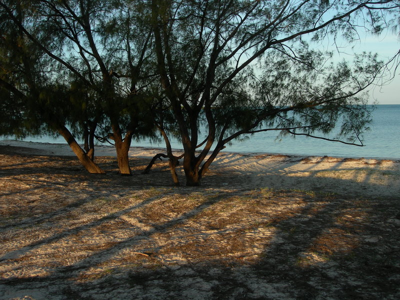 DSCN1920