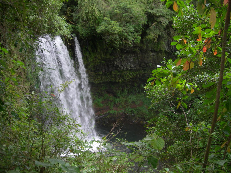 DSCN1929