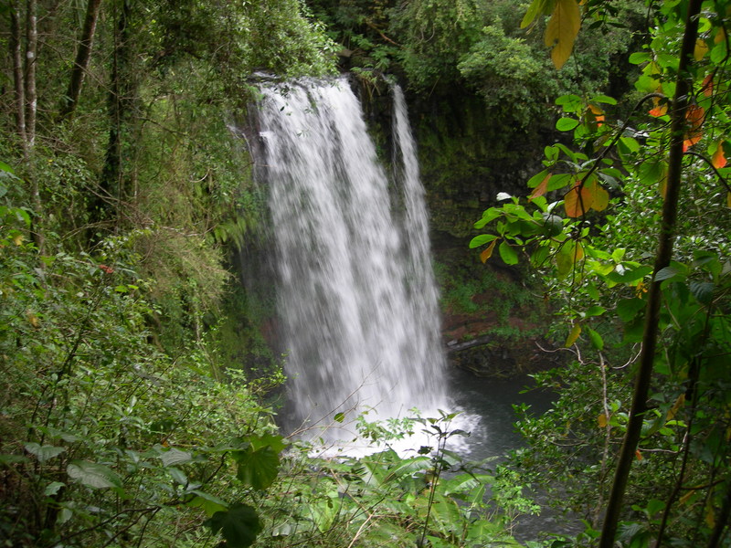 DSCN1930