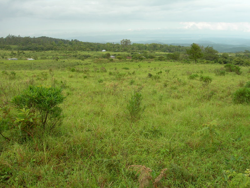 DSCN1932