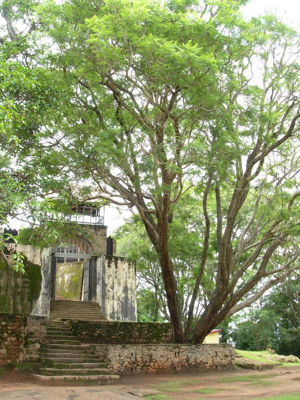 DSCN2054