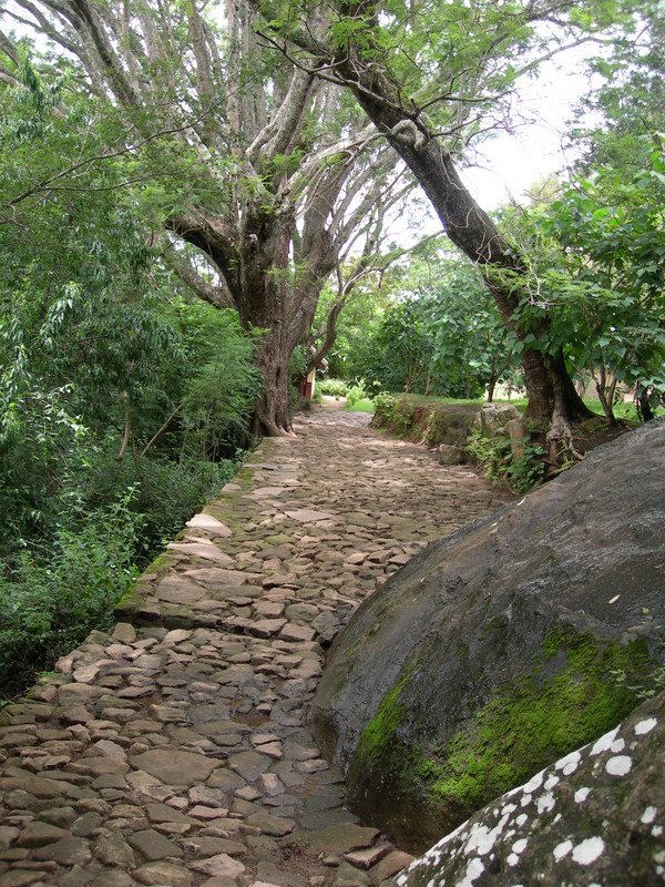 DSCN2068
