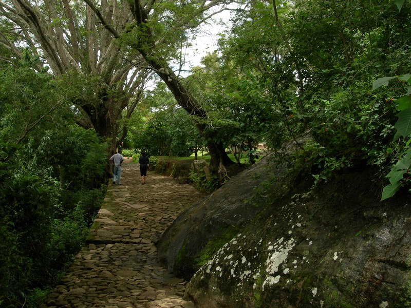 DSCN2069