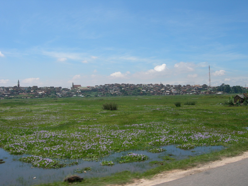DSCN2086