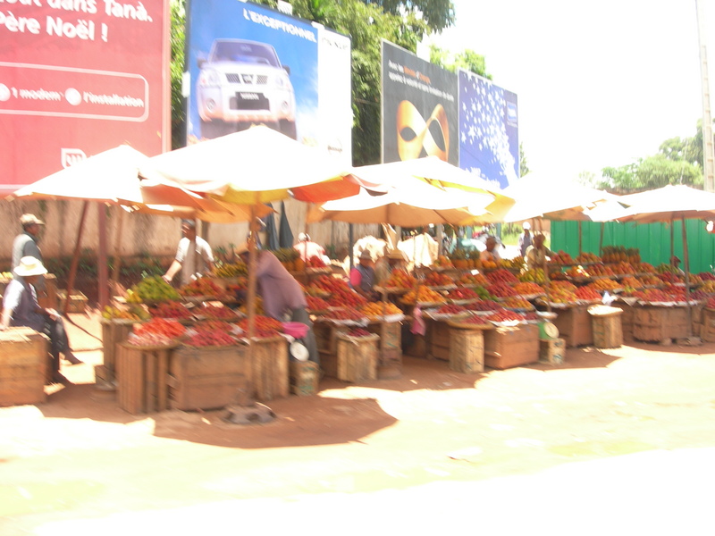 DSCN2143