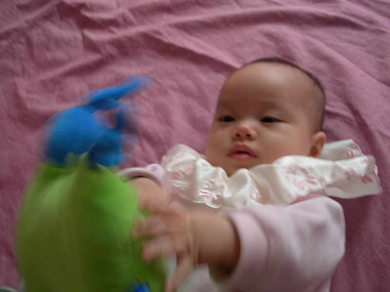 DSCN2321
