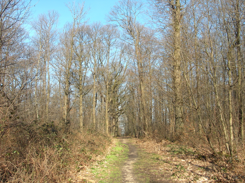 DSCN2414
