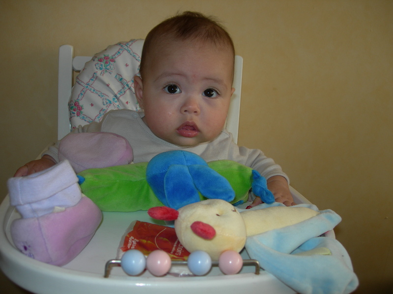 DSCN2655