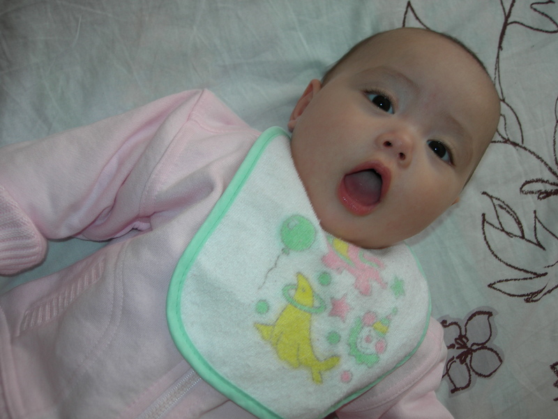 DSCN2667