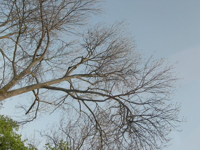 DSCN2781