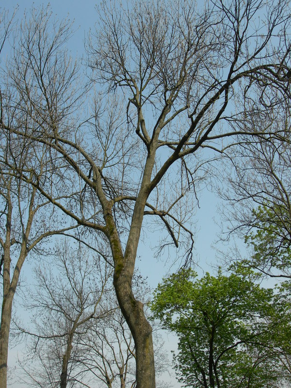 DSCN2783