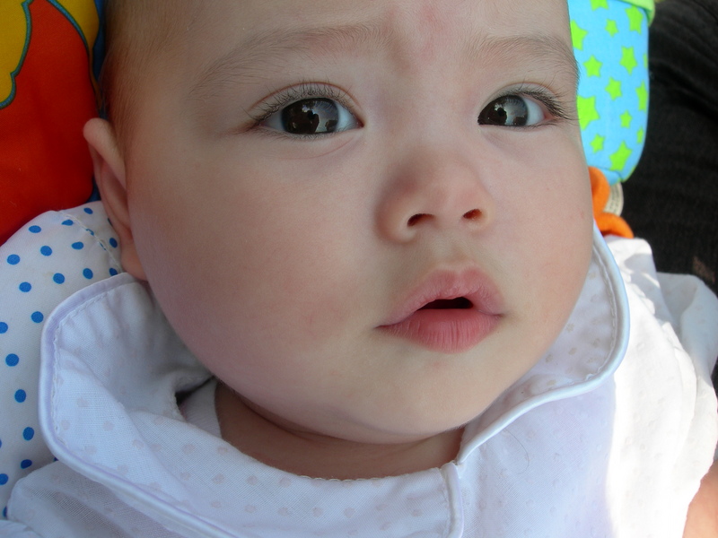 DSCN2791