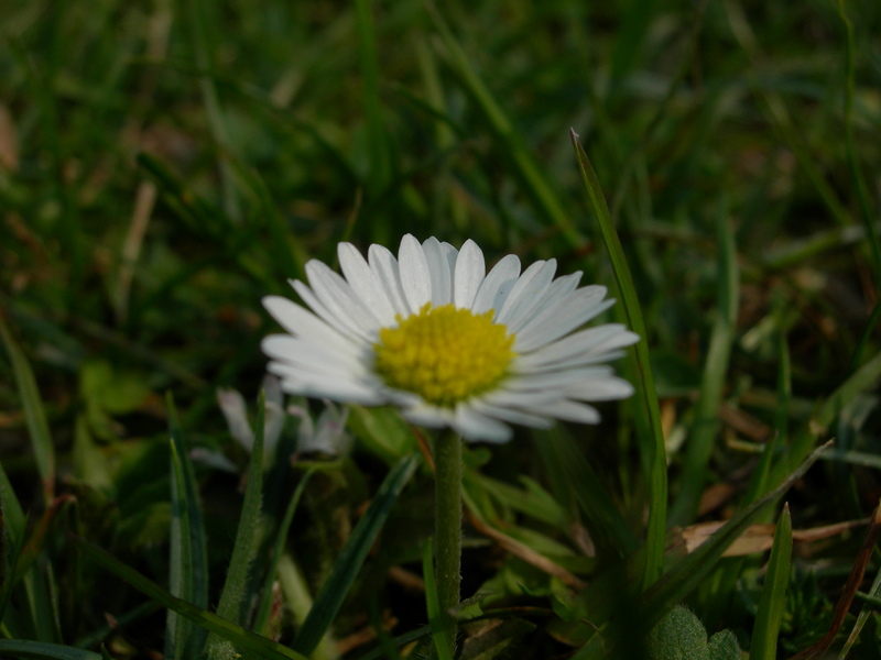 DSCN2803