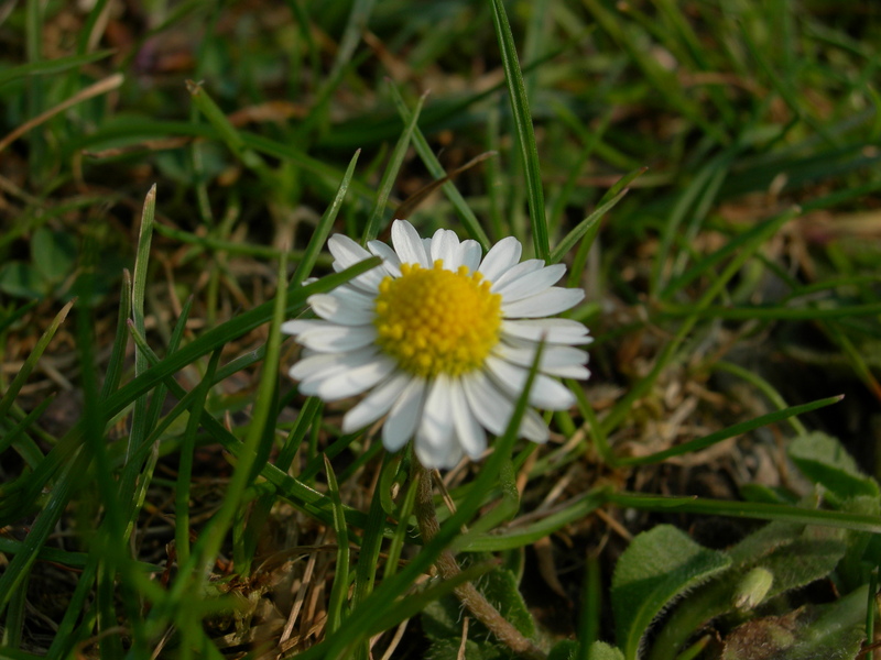 DSCN2804