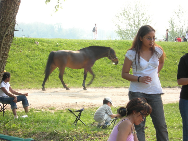 DSCN2852