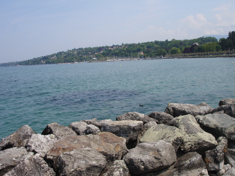 DSC09566