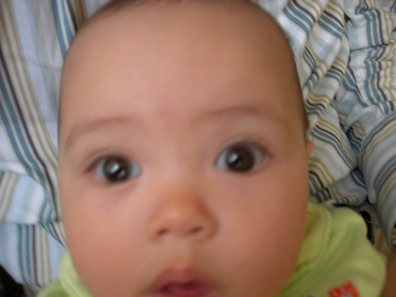 DSCN2938