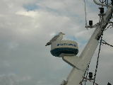DSCN0941