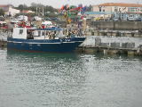 DSCN0943