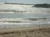 DSCN0950
