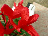 DSCN0955