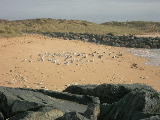 DSCN0958