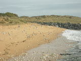 DSCN0960