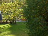 DSCN0967