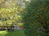 DSCN0968