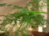 DSCN0970