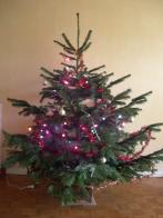 dscn1176