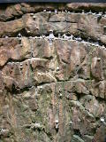 dscn1302