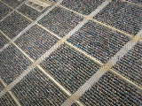 dscn1313