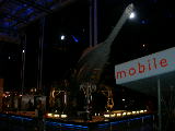 dscn1338