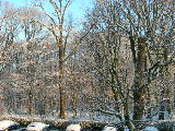 dscn1464