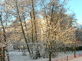 dscn1466