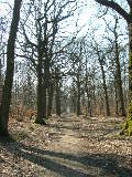 dscn1470