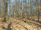 dscn1479