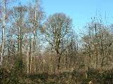 dscn1490