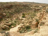 dscn1539