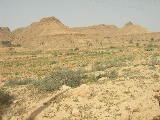 dscn1557