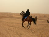 dscn1572